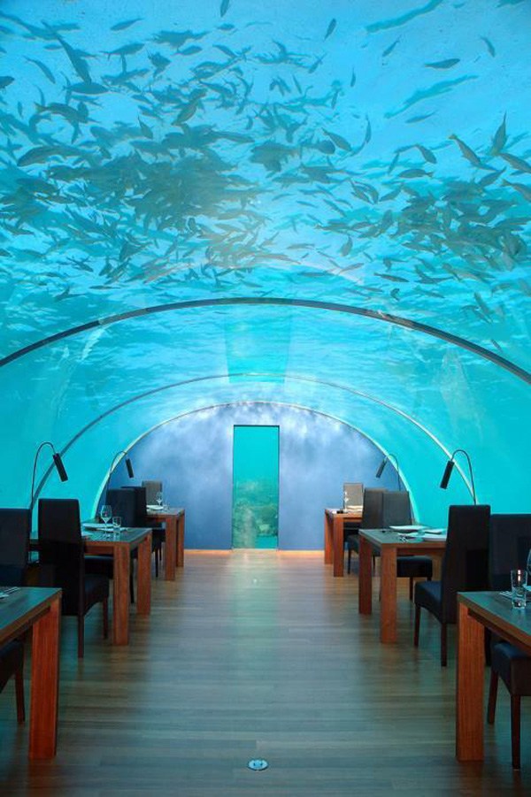 Ithaa The Maldives Undersea Restaurant.