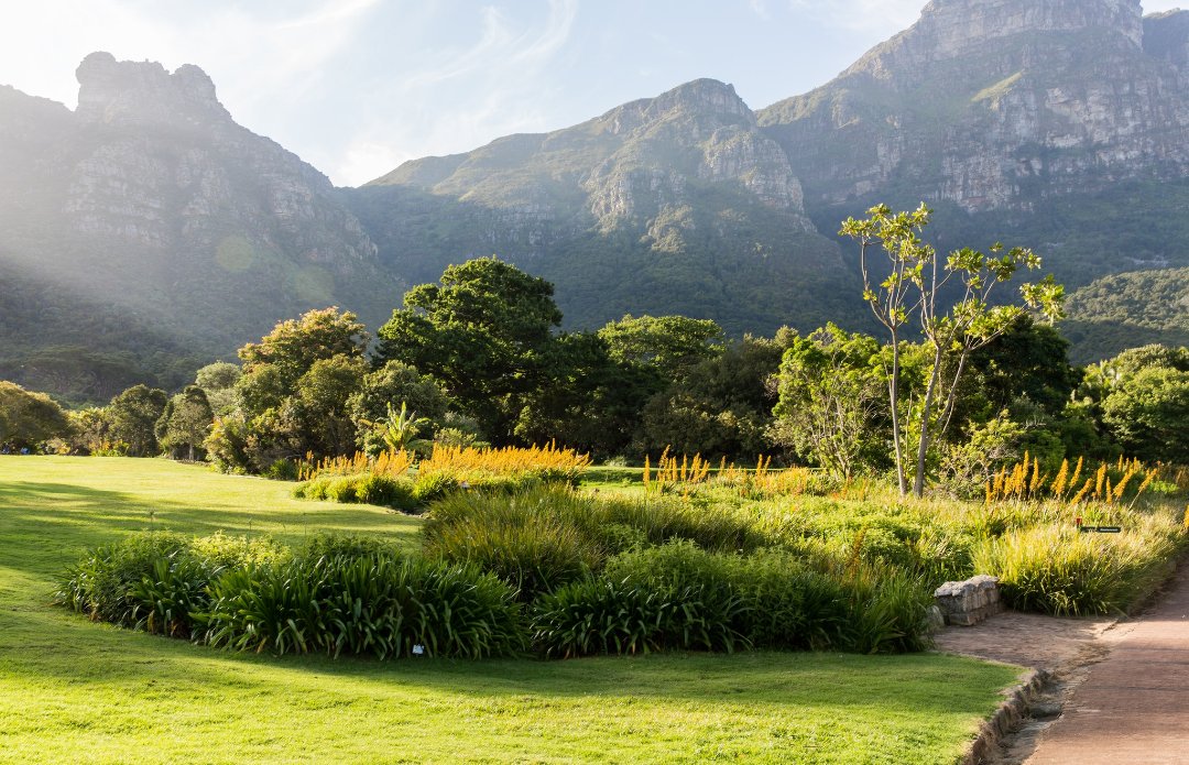 Kirstenbosch Botanical Gardens, Cape Town.