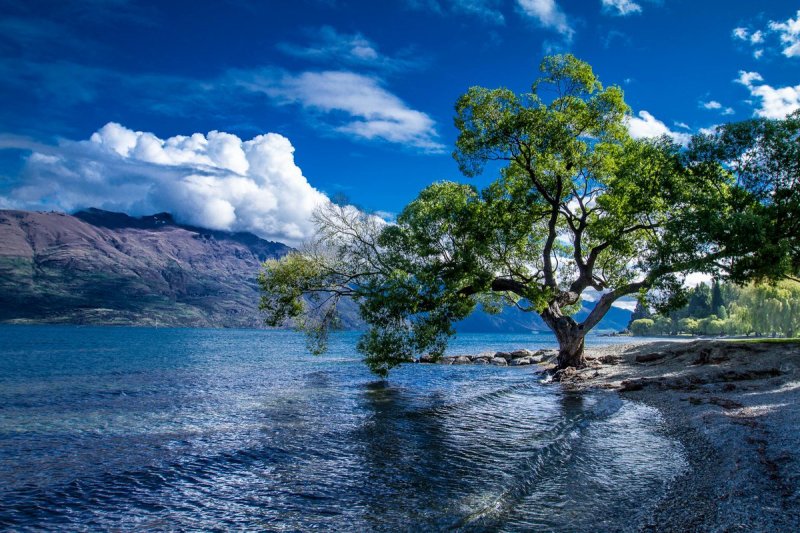 Lake Wakatipu.