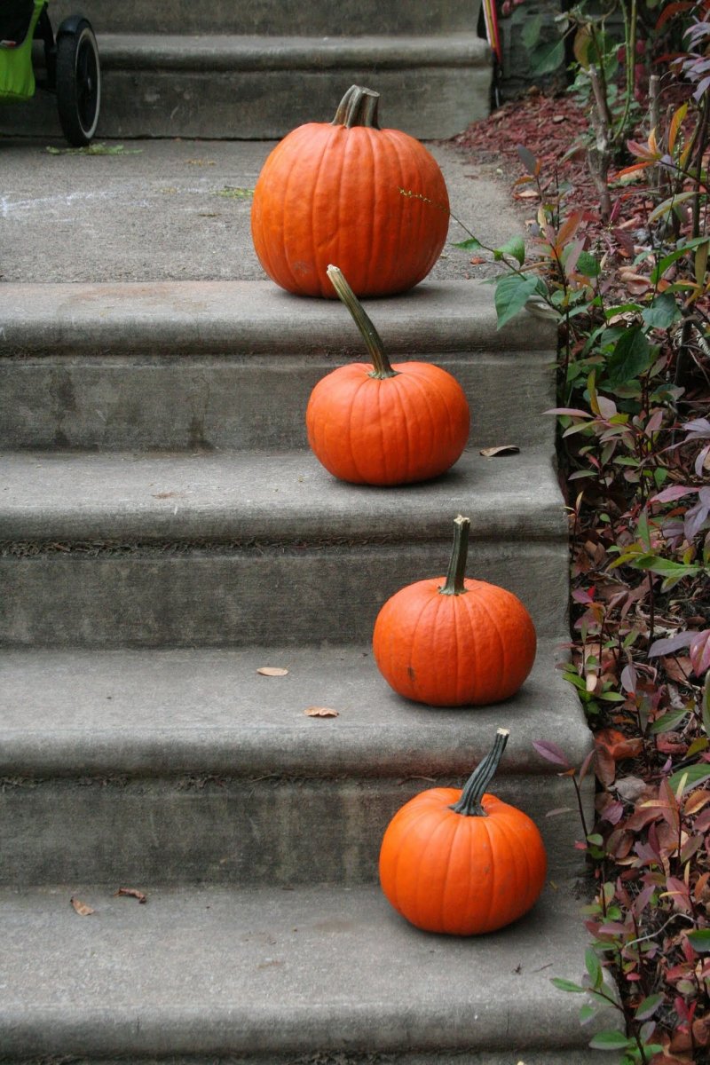 Line up your Pumpkins.