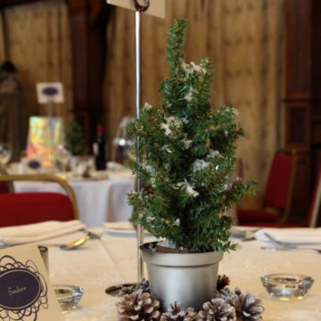 Mini Christmas Tree Centrepieces.