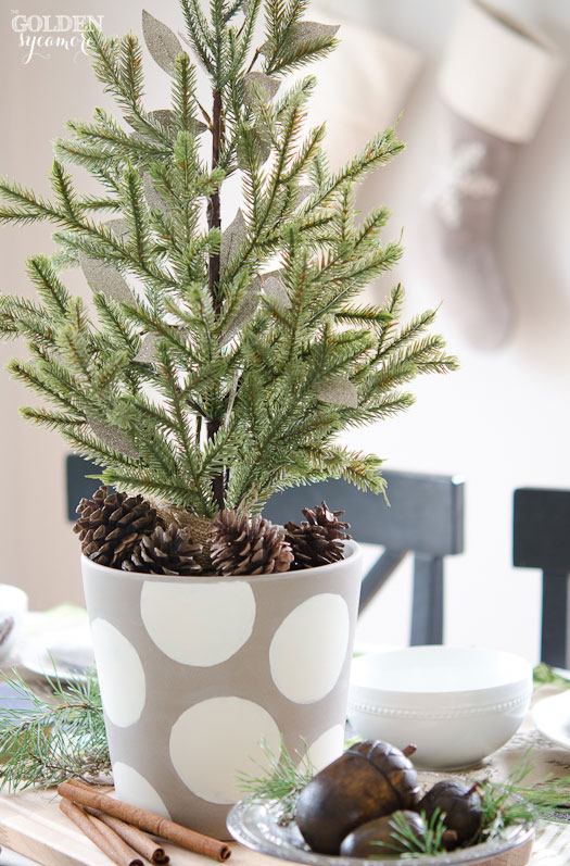 Mini Fir Tree.