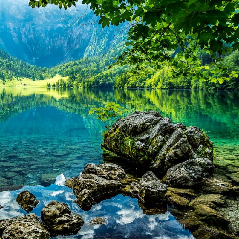 Nature at Obersee Lake in the Bavarian Alps at Berchtesgaden National Park.