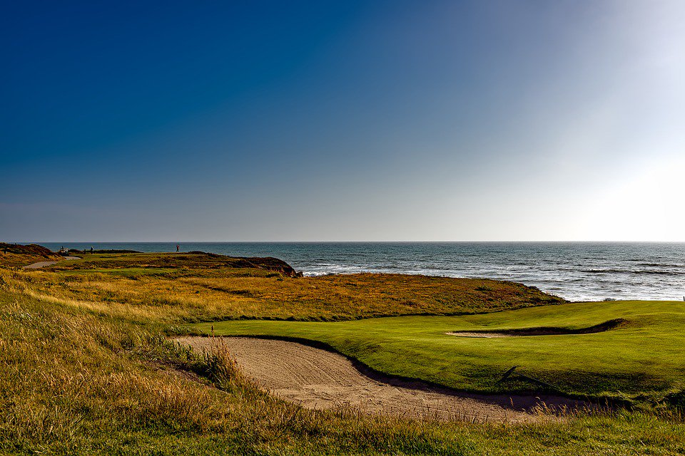 Pelican Point, Half-Moon Bay