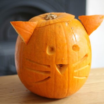 Perfect for animal mad kids or just as a nice change from anything scary, pumpkin cats.