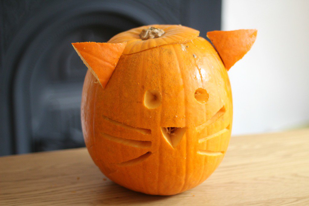 Perfect for animal mad kids or just as a nice change from anything scary, pumpkin cats.