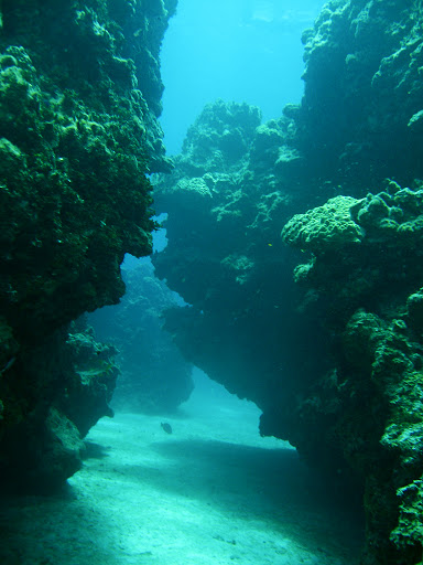 Snorkel right offshore at Eden Rock and Devil's Grotto