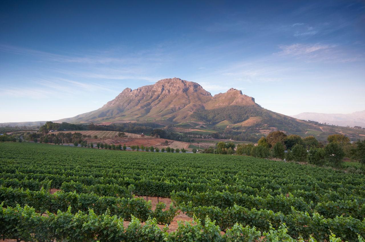 Stellenbosch