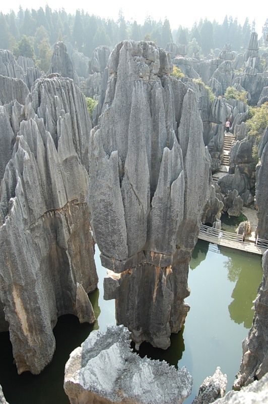 The Yunnan Stone Forest, China. These limestone towers pushed up from the seabed millions of years ago--hundreds of feet tall.