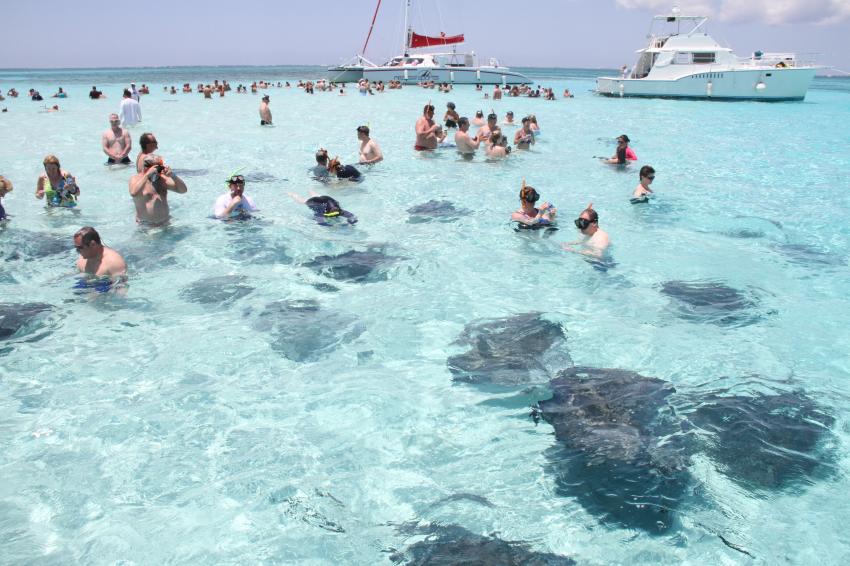 Swim amongst Stingrays at Stingray's city