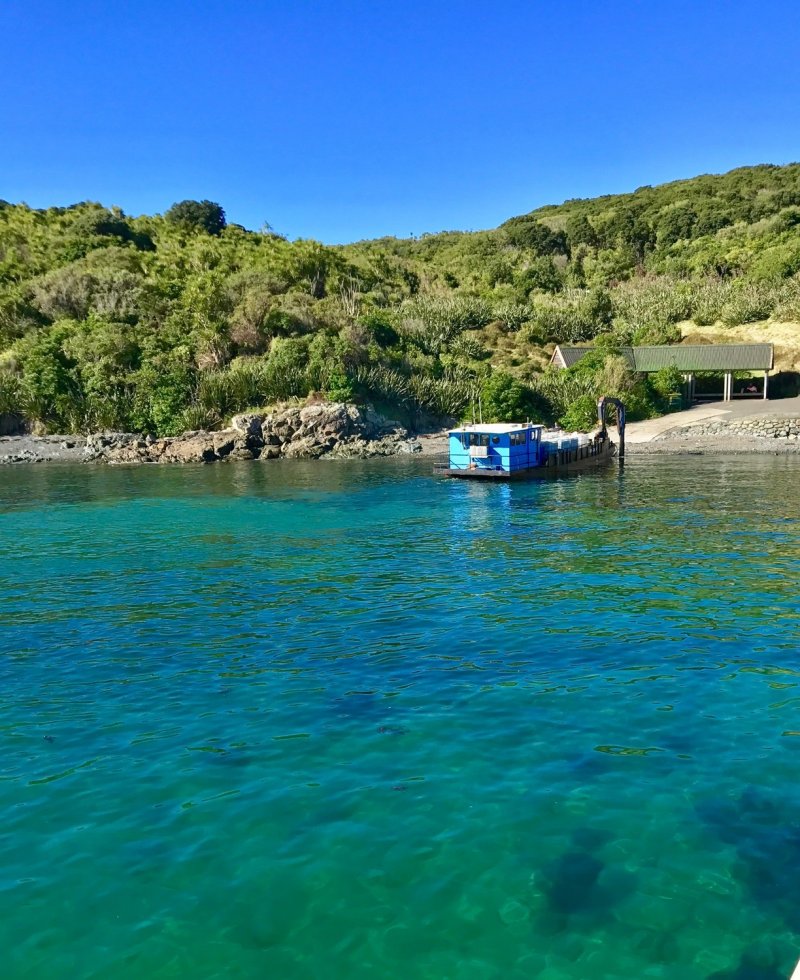 Tiritiri Matangi Island.