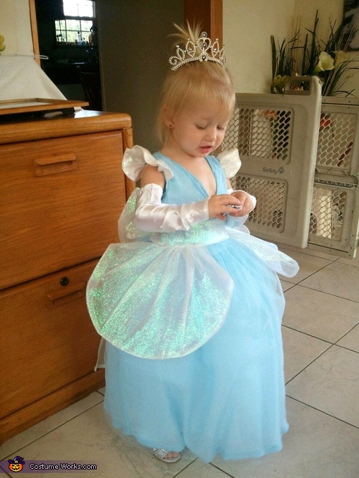 Toddler Cinderella Costume