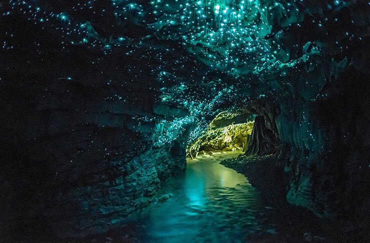 Waitomo Caves View