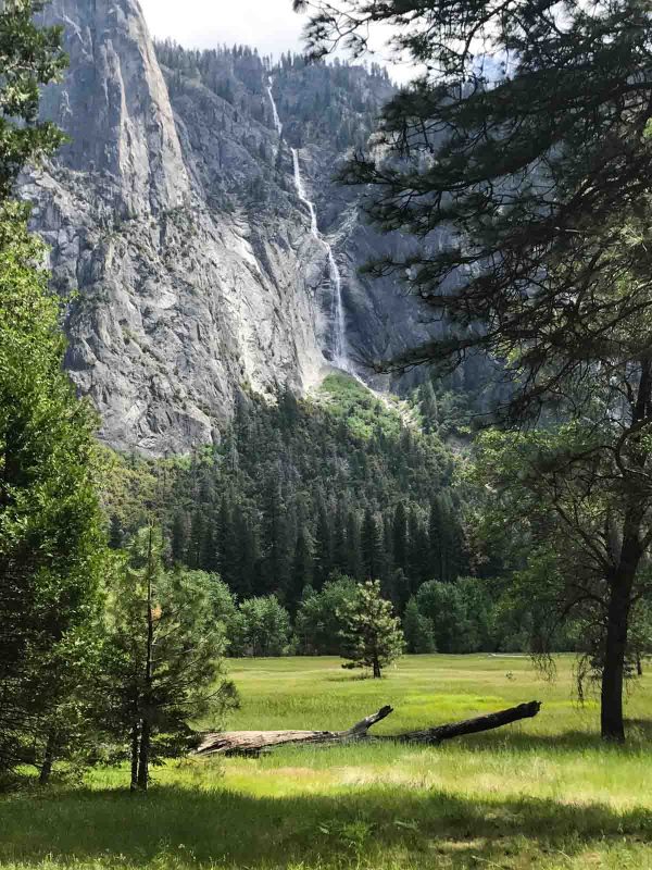 What to see and do at Yosemite National Park.