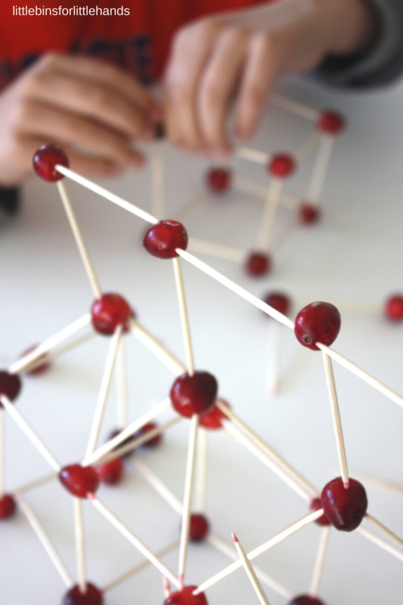 Building with Cranberries and toothpicks STEM for Thanksgiving.