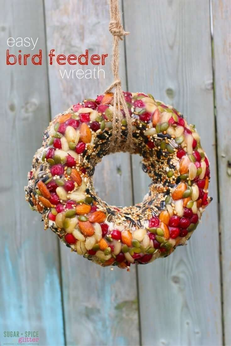 Luxury Of Diy Birdseed Wreath.