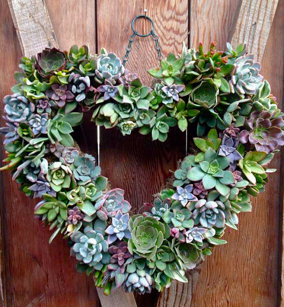 Succulent heart wreath.