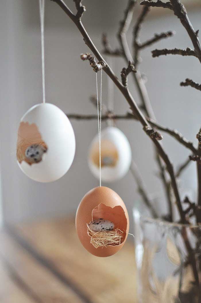 Cute Egg Terrarium.