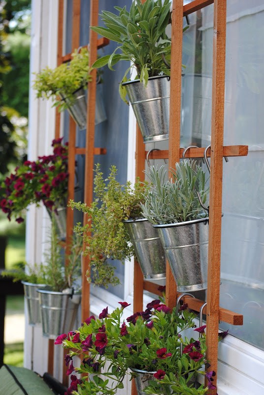 DIY Vertical Herb Garden Trellis Wall.