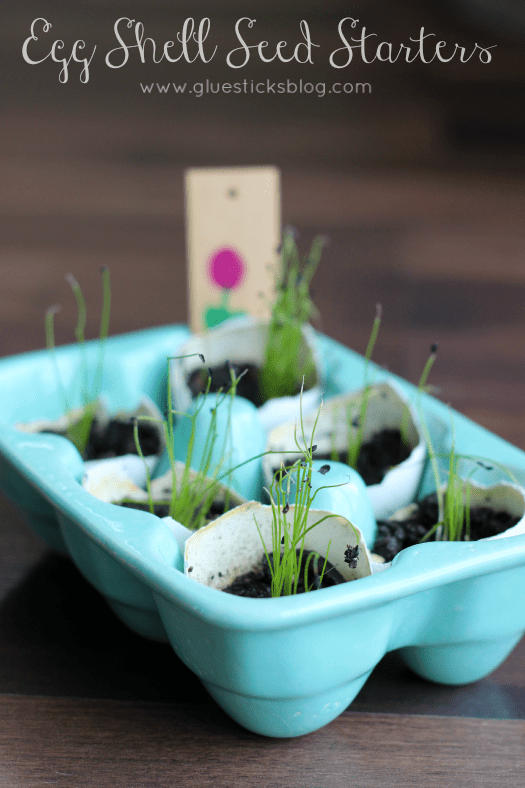 Egg Shell Seed Starters.