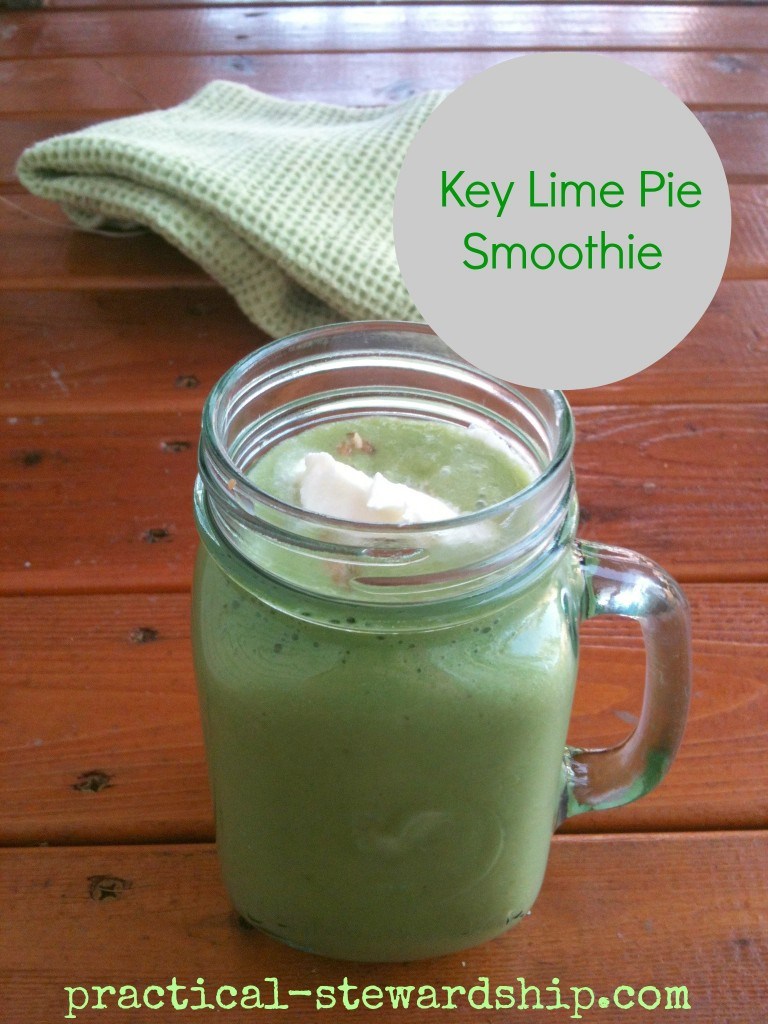 Key Lime Pie Shake.