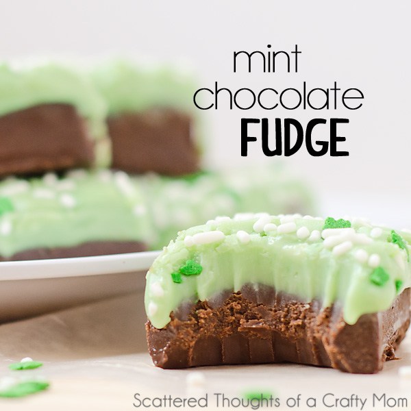 Mint Chocolate Fudge.