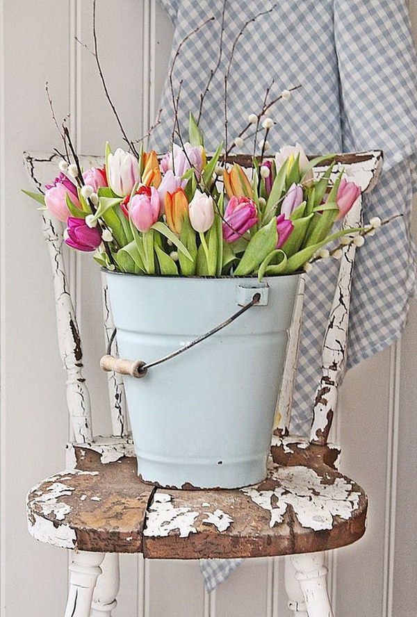 Tulips Display in the Metal Bucket.