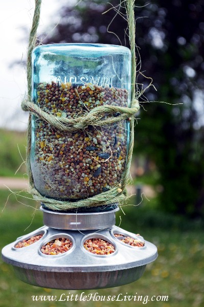 Wonderful Bird Feeder.