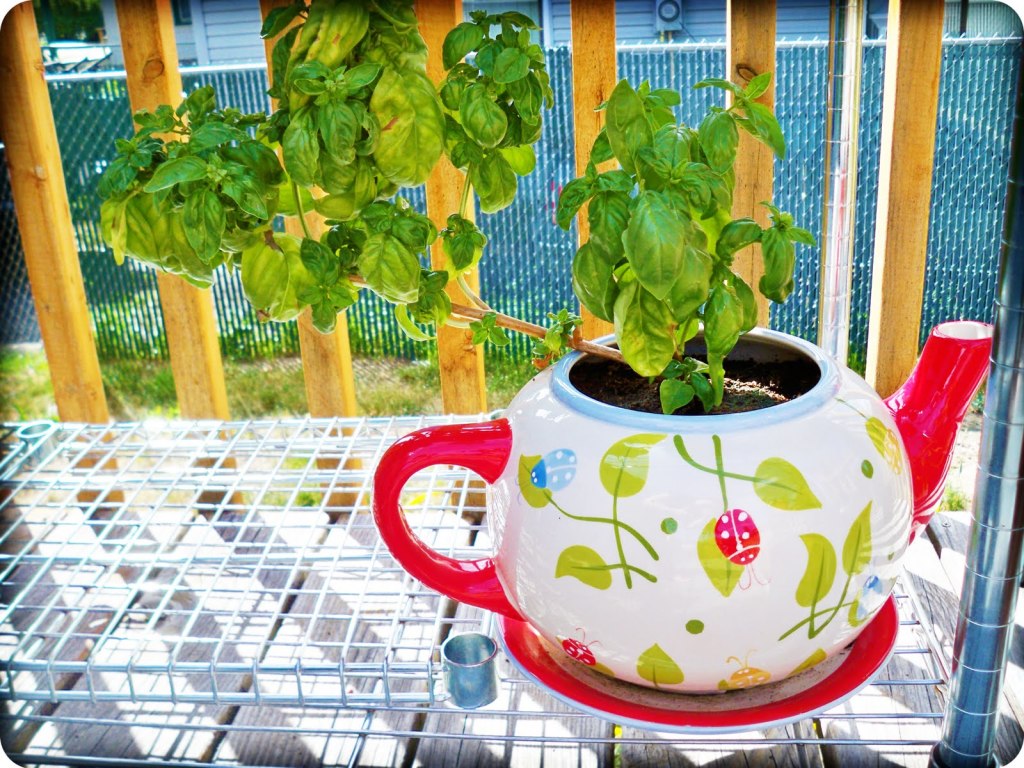 Beautiful Teapot Planter.