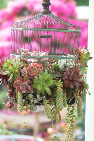 Birdcage Planter.