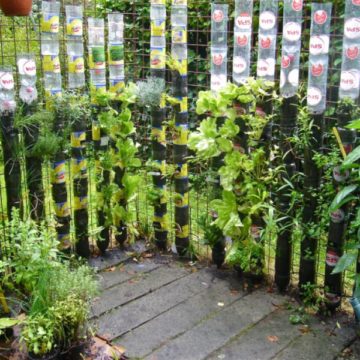 Bottle Tower Garden.