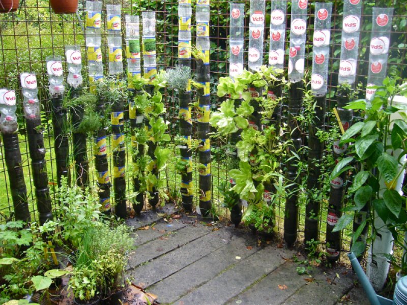 Bottle Tower Garden.