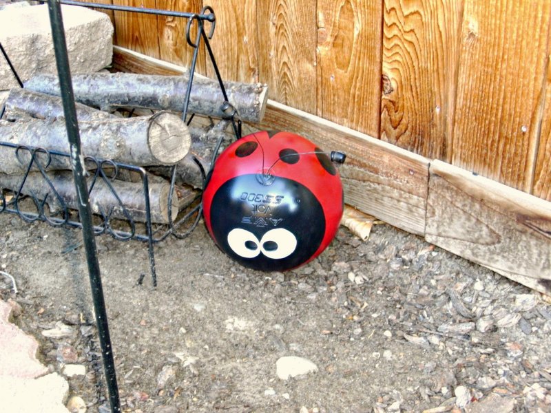 Bowling Ball Lady Bug.