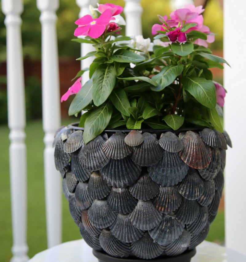 DIY a seashell plant pot for your Summer garden update.