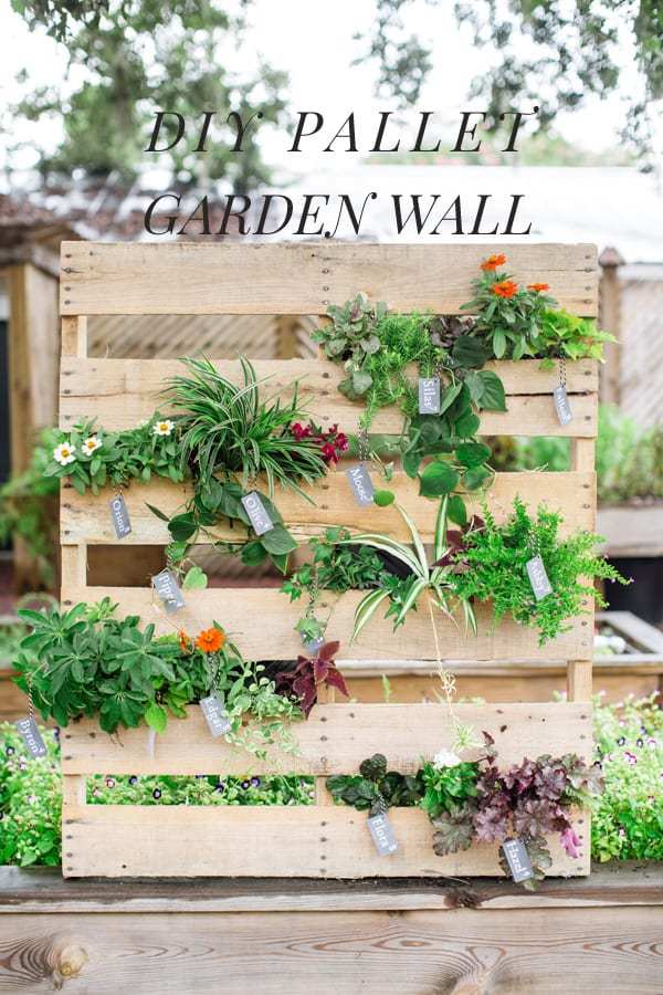 DIY vertical gardening projects.