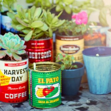 Decorate your garden cheaply with recycled tins.
