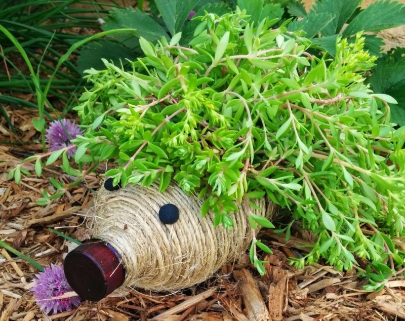 Hedgehog Planter from Plastic Bottle.