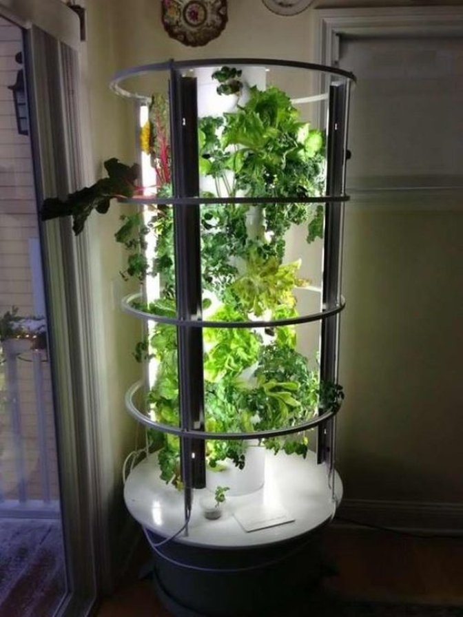 Hooded Tower Garden With Grow Lights.