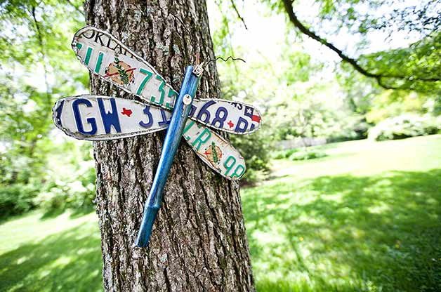 License Plate Dragonfly.