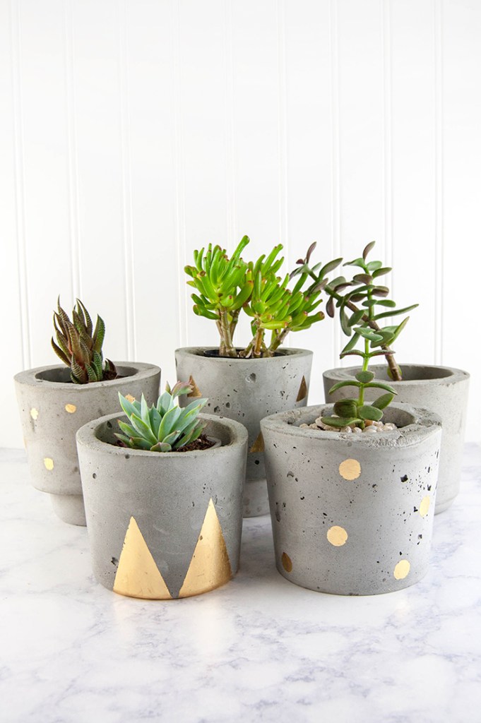 Make your own concrete pots.