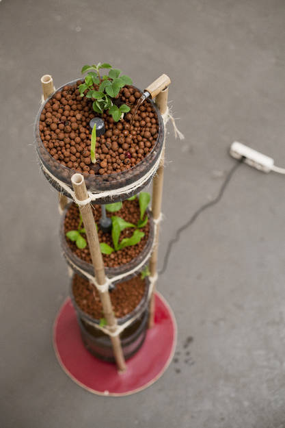 Mini Aquaponics Tower Garden.