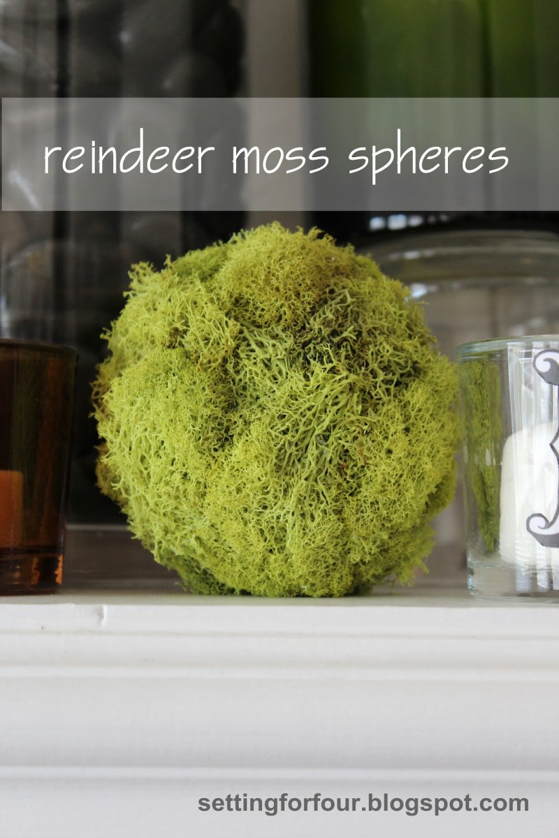 Moss Spheres.