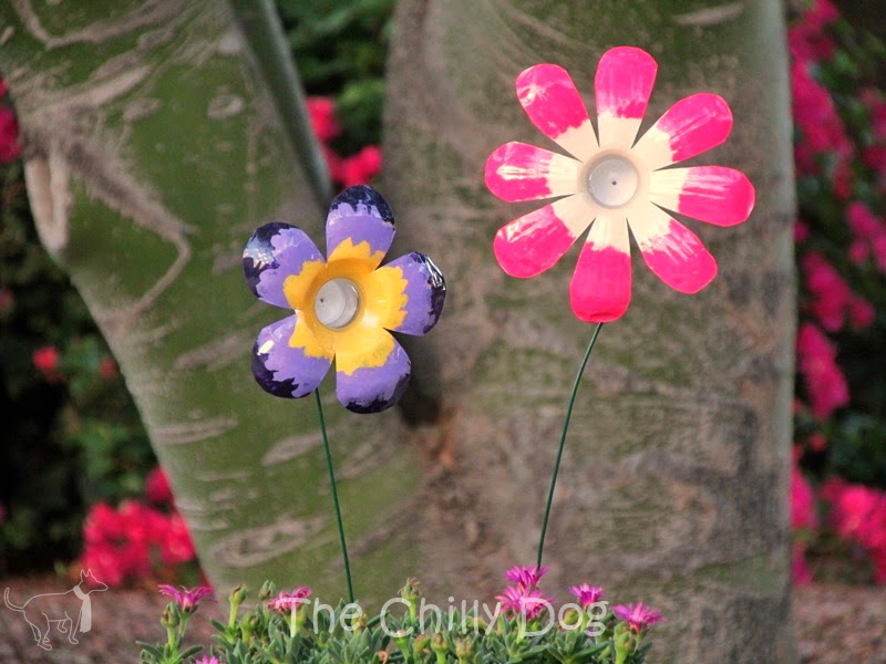 Plastic Bottle Flowers.