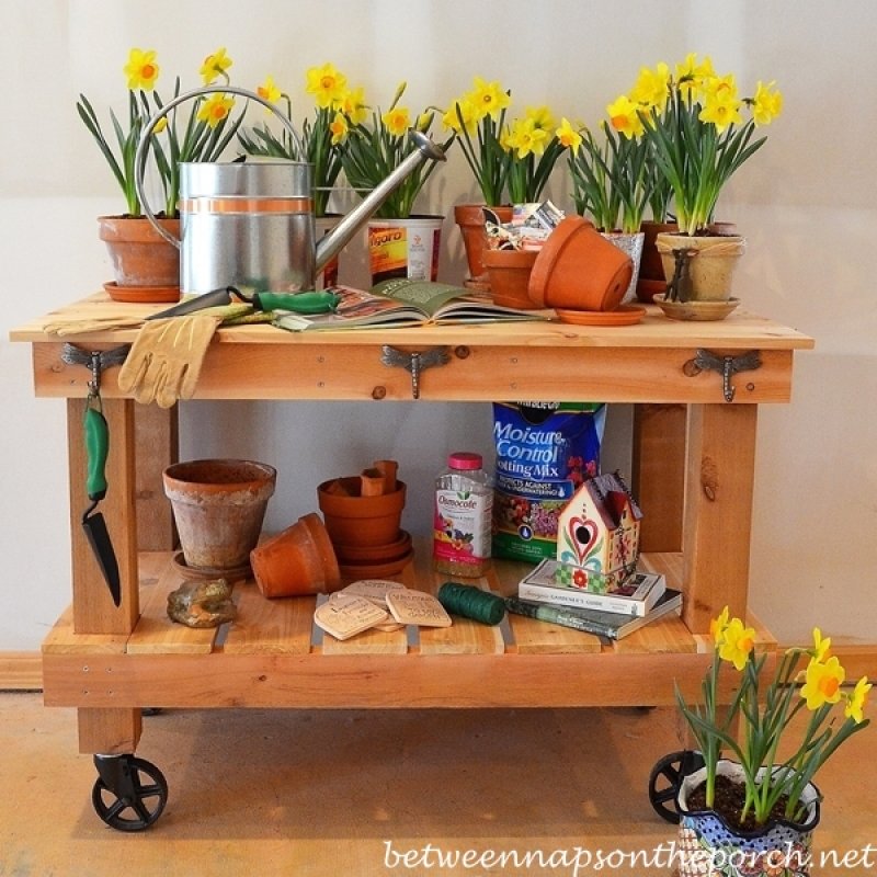 Potting Table On Wheels.