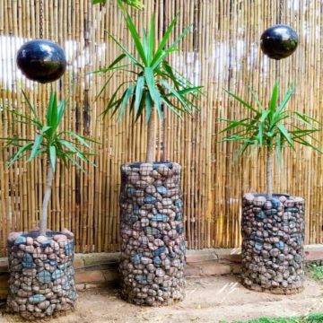 Stunning and Affordable Gabion Planters.