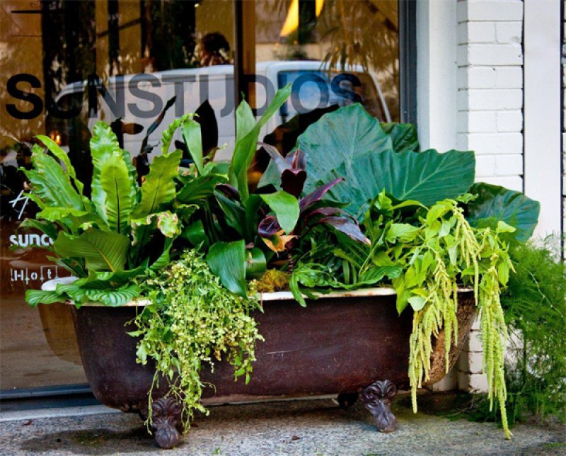 Use Old Bathtub Planter. DIY Flower Planter