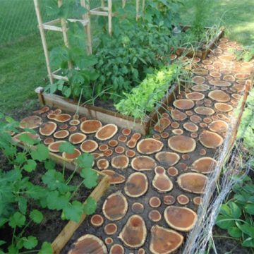 Use wood logs to create a visually stunning garden path.