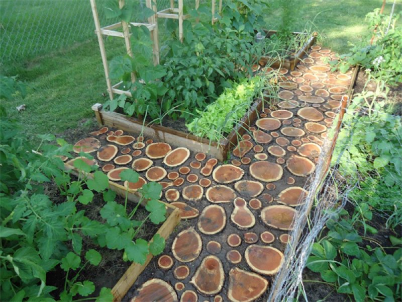 Use wood logs to create a visually stunning garden path.