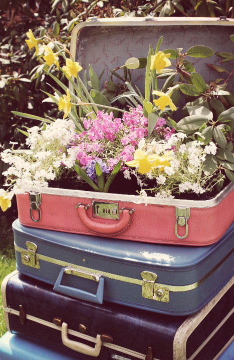 Vintage Suitcase Turned Garden Planter.