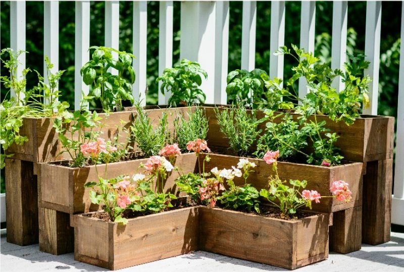 3-Tier Herb Garden.